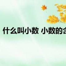 什么叫小数 小数的含义