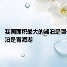我国面积最大的湖泊是哪个湖 湖泊是青海湖