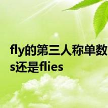 fly的第三人称单数 是flys还是flies
