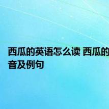 西瓜的英语怎么读 西瓜的英语读音及例句
