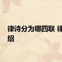 律诗分为哪四联 律诗介绍