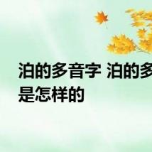泊的多音字 泊的多音字是怎样的