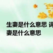 生妻是什么意思 词语生妻是什么意思