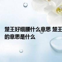 楚王好细腰什么意思 楚王好细腰的意思是什么