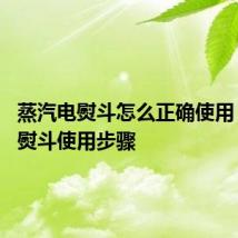 蒸汽电熨斗怎么正确使用 蒸汽电熨斗使用步骤