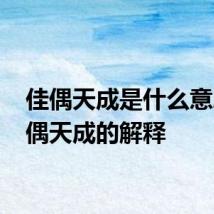 佳偶天成是什么意思 佳偶天成的解释
