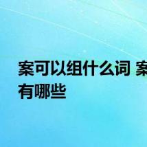 案可以组什么词 案组词有哪些