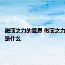 微薄之力的意思 微薄之力的意思是什么