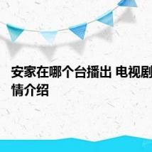 安家在哪个台播出 电视剧安家剧情介绍