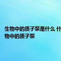 生物中的质子泵是什么 什么是生物中的质子泵