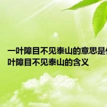 一叶障目不见泰山的意思是什么 一叶障目不见泰山的含义