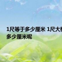 1尺等于多少厘米 1尺大概等于多少厘米呢