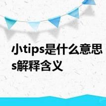 小tips是什么意思 小tips解释含义