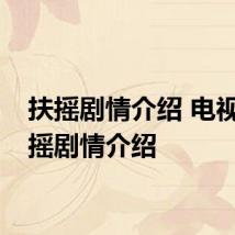扶摇剧情介绍 电视剧扶摇剧情介绍