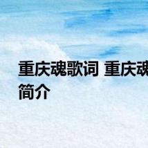 重庆魂歌词 重庆魂歌曲简介