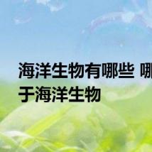 海洋生物有哪些 哪些属于海洋生物