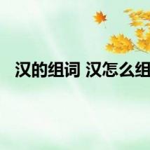 汉的组词 汉怎么组词