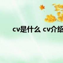 cv是什么 cv介绍