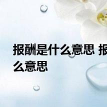 报酬是什么意思 报酬什么意思