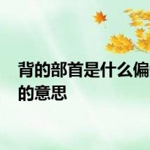 背的部首是什么偏旁 背的意思