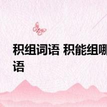 积组词语 积能组哪些词语