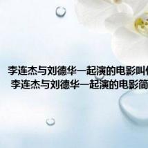 李连杰与刘德华一起演的电影叫什么名字 李连杰与刘德华一起演的电影简介
