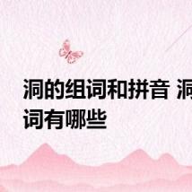 洞的组词和拼音 洞的组词有哪些