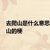 去爬山是什么意思 去爬山的梗