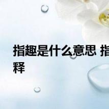 指趣是什么意思 指趣解释