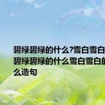碧绿碧绿的什么?雪白雪白的什么? 碧绿碧绿的什么雪白雪白的什么怎么造句