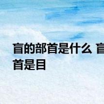 盲的部首是什么 盲的部首是目