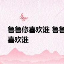 鲁鲁修喜欢谁 鲁鲁修最喜欢谁
