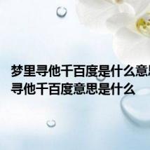 梦里寻他千百度是什么意思 梦里寻他千百度意思是什么