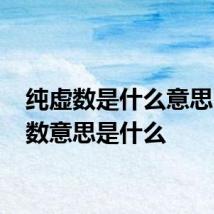 纯虚数是什么意思 纯虚数意思是什么
