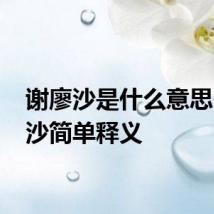 谢廖沙是什么意思 谢廖沙简单释义