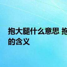 抱大腿什么意思 抱大腿的含义