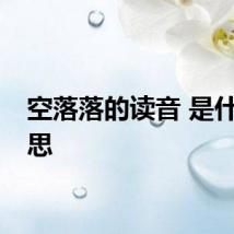 空落落的读音 是什么意思
