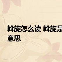 斡旋怎么读 斡旋是什么意思