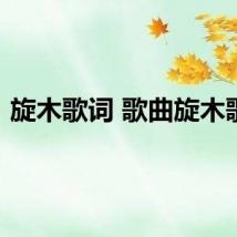 旋木歌词 歌曲旋木歌词