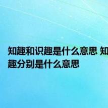 知趣和识趣是什么意思 知趣和识趣分别是什么意思