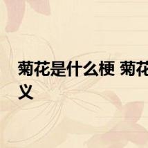 菊花是什么梗 菊花的含义