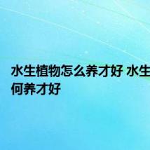 水生植物怎么养才好 水生植物如何养才好