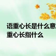 语重心长是什么意思 语重心长指什么