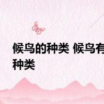 候鸟的种类 候鸟有哪些种类
