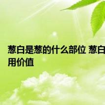 葱白是葱的什么部位 葱白有何药用价值