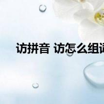 访拼音 访怎么组词