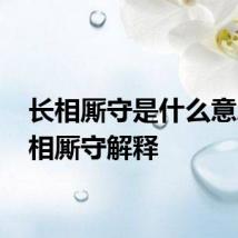 长相厮守是什么意思 长相厮守解释