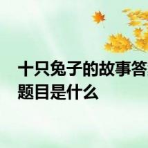 十只兔子的故事答案 原题目是什么