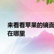 来看看苹果的镜面翻转在哪里