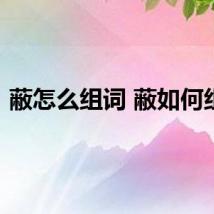 蔽怎么组词 蔽如何组词